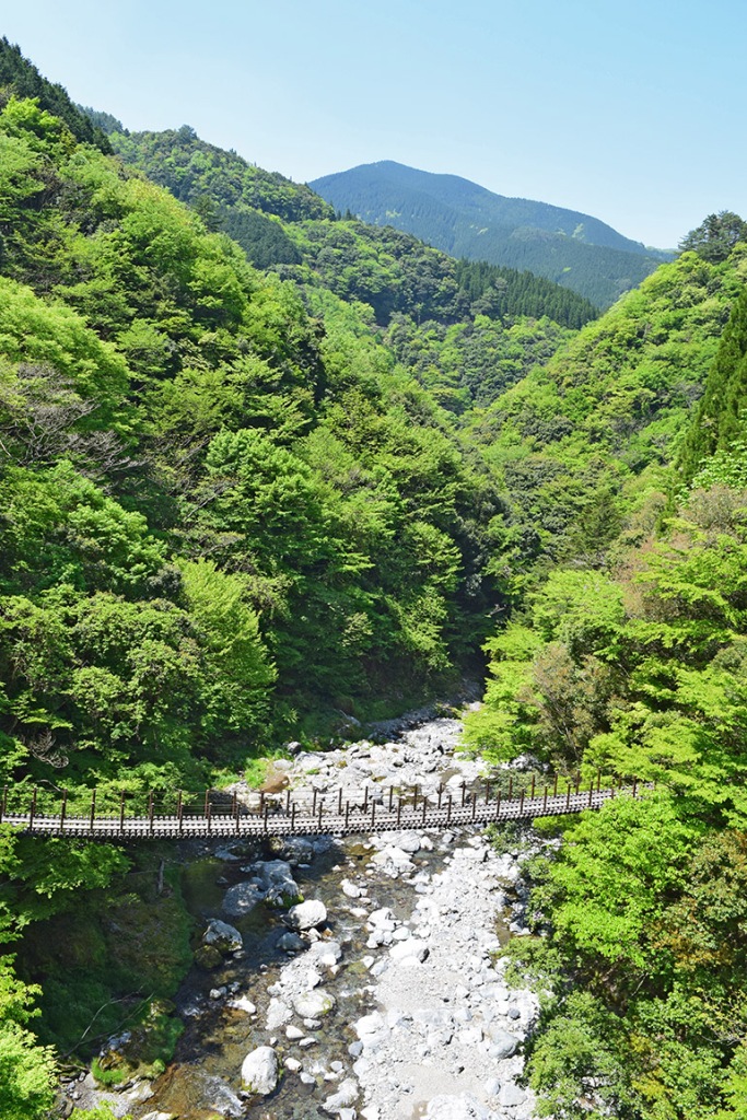 64. higo gokanoshō lower bridge